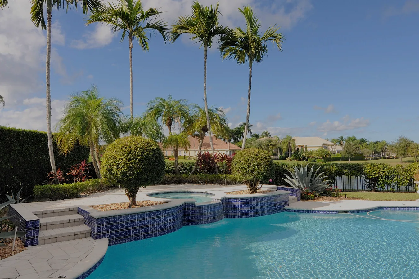 Landscaped pool area with palms and trimmed hedges
